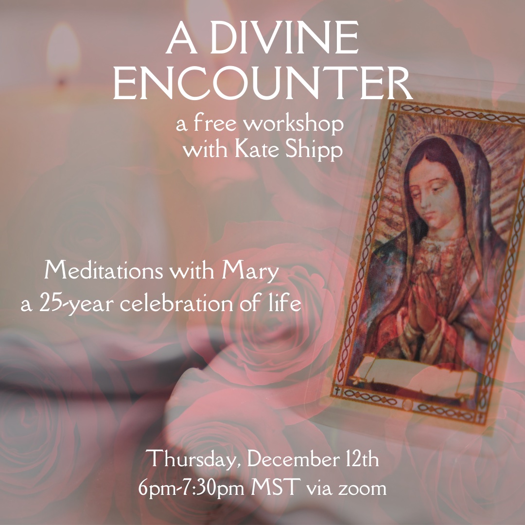 A Divine Encounter: Meditations with Mary